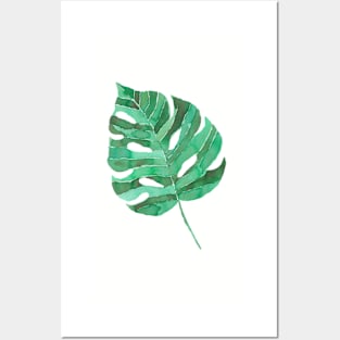 Monstera leaf Posters and Art